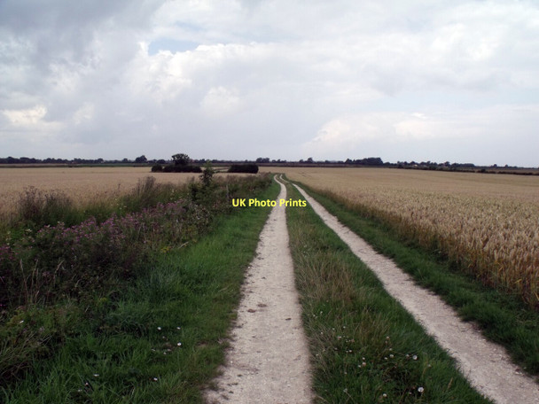 Photo 6"x4" Calfen Lane Withern c2011