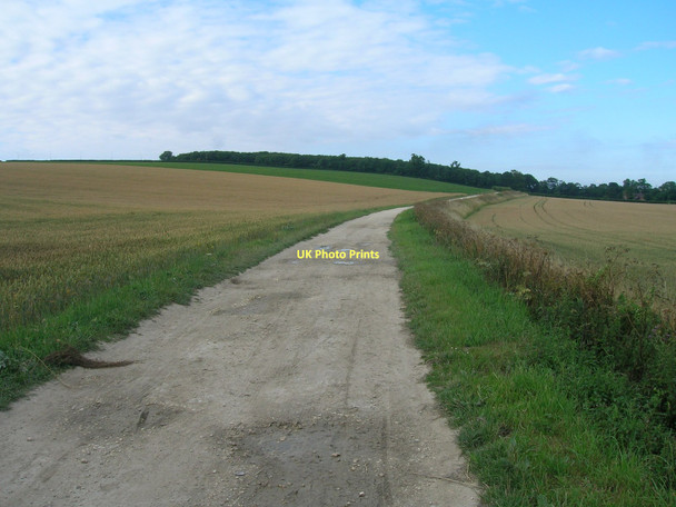 Photo 6"x4" Track towards South Ferriby (footpath) South Ferriby c2011