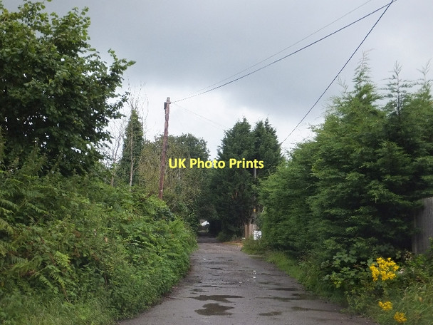 Photo 6"x4" Track to Mount Pleasant and Whitmoor Common Worplesdon c2011