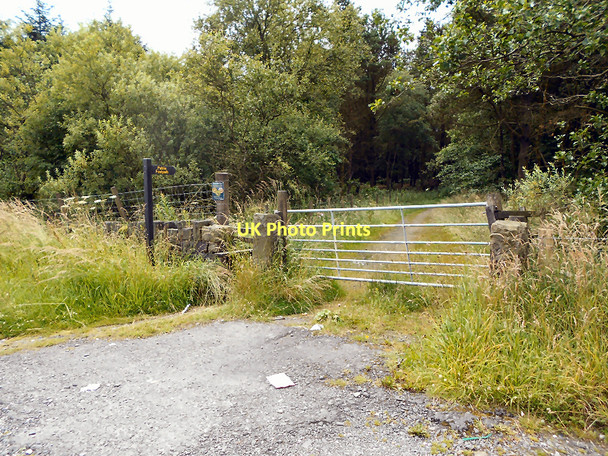 Photo 6"x4" Gate and Stile, Charter's Moss Plantation Cadshaw c2011