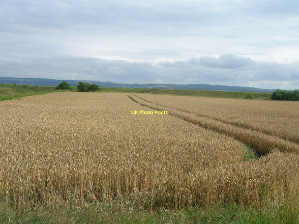 Photo 6"x4" Farmland near the Humber South Ferriby c2011