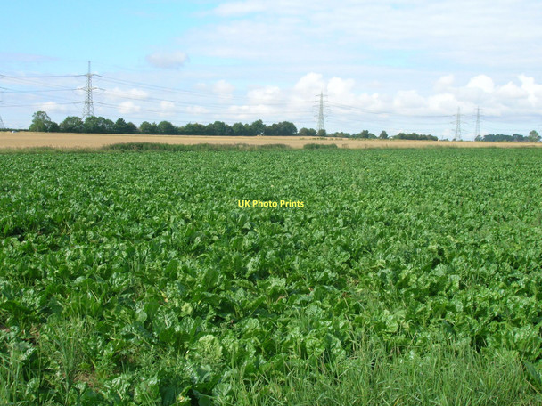Photo 6"x4" Crop field off the A1077 Winteringham c2011