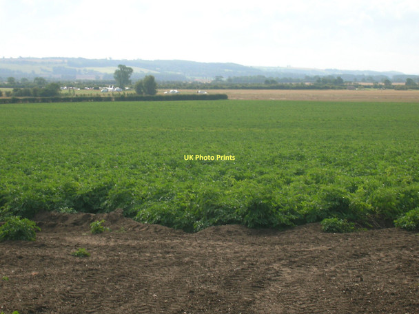 Photo 6"x4" Farmland near East Field Farm Winterton\/SE9218 c2011