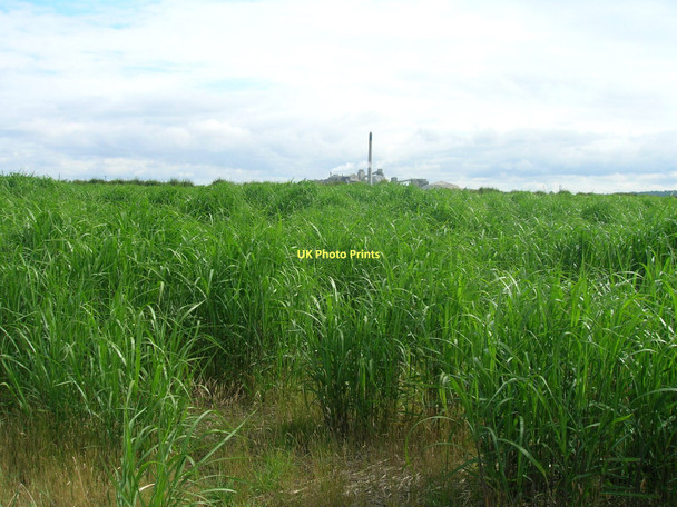 Photo 6"x4" Crop field Winteringham Ings South Ferriby c2011