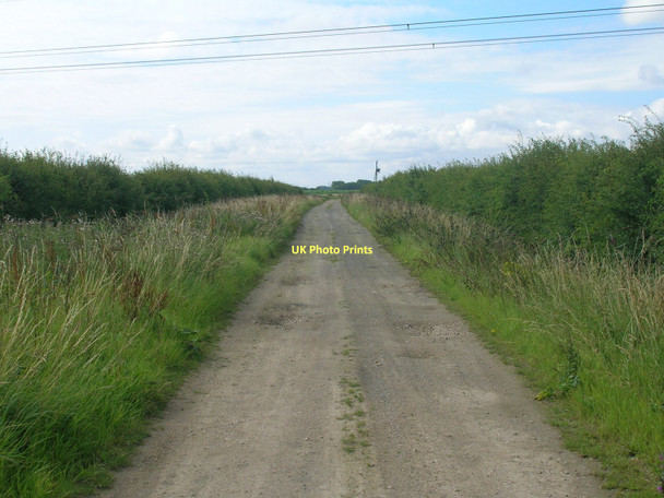 Photo 6"x4" Ings Lane heading south Horkstow c2011