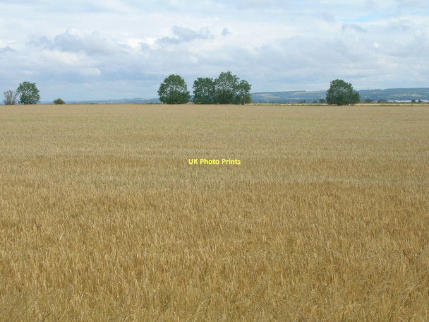Photo 6"x4" Farmland north of Mere Lane (A1077) West Halton c2011