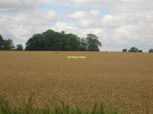Photo 6"x4" Farmland of Whitton Road West Halton c2011