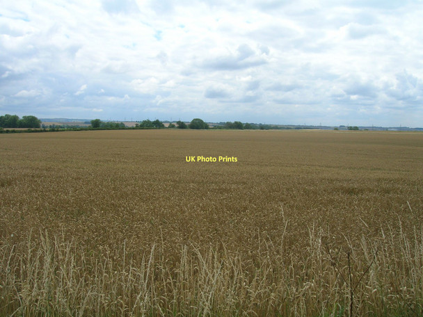 Photo 6"x4" Farmland off Whitton Road Alkborough c2011