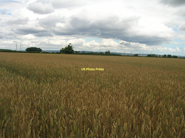 Photo 6"x4" Farmland near Coleby Coleby\/SE8919 c2011