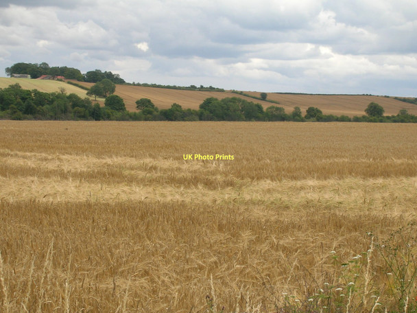 Photo 6"x4" Farmland near Thealby Coleby\/SE8919 c2011