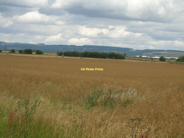 Photo 6"x4" Farmland west of Winteringham Winteringham c2011