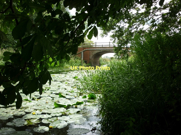 Photo 6"x4" Pocklington canal at Hagg Bridge Storwood c2011