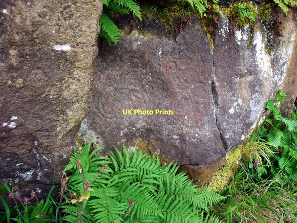 Photo 6"x4" Complex rock carvings at Morwick Crag Eastfield Hall c2011