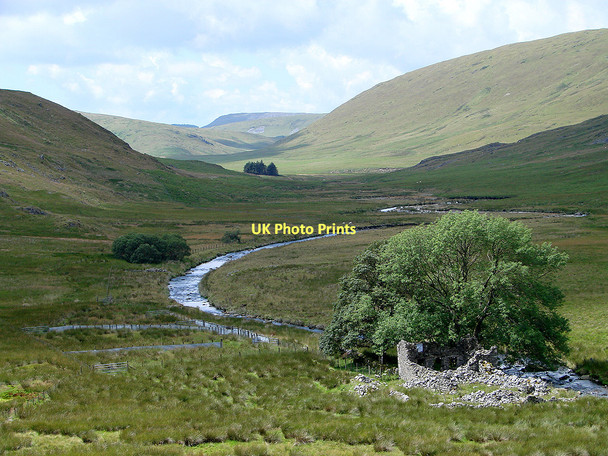 Photo 6"x4" The ruined Hengwm-annedd (Hengwm House) Banc Lluestnewydd c2011