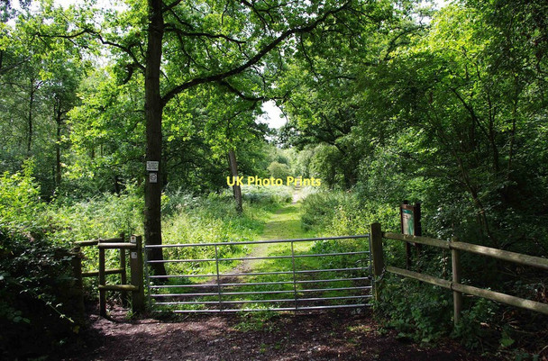 Photo 6"x4" Entrance to Chaddesley Woods (National Nature Reserve) Bournes Green\/SO9174 c2011