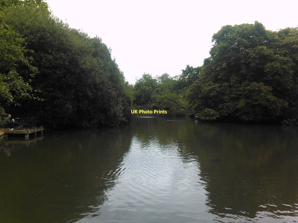 Photo 6"x4" Lake in Tooting Bec Common #2 Streatham c2011