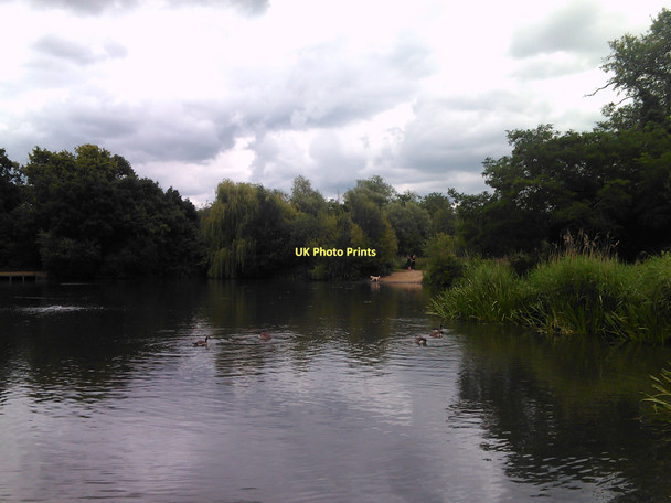 Photo 6"x4" Lake in Tooting Bec Common #3 Streatham c2011