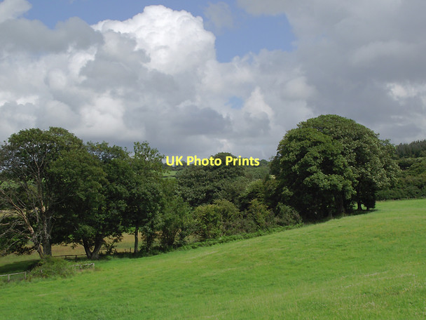 Photo 6"x4" Trees and pasture near Llangybi, Ceredigion Llanfair Clydogau c2011