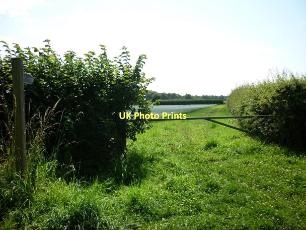 Photo 6"x4" A footpath to Hunsingore Hunsingore c2011
