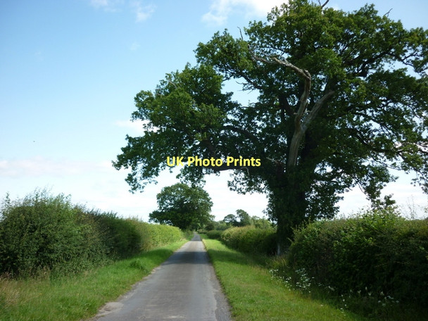 Photo 6"x4" Whixley Lane towards Whixley Hopperton c2011