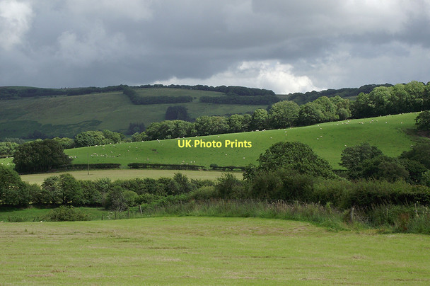Photo 6"x4" Farmland near Llangybi, Ceredigion Llangybi\/SN6053 c2011