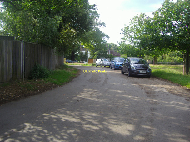 Photo 6"x4" The road to Thatched Lodge, Richmond Park Kingston Upon Thames c2011