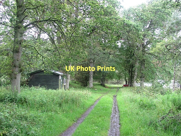 Photo 6"x4" Woodland, Stare Dam Waterloo\/NO0536 c2011