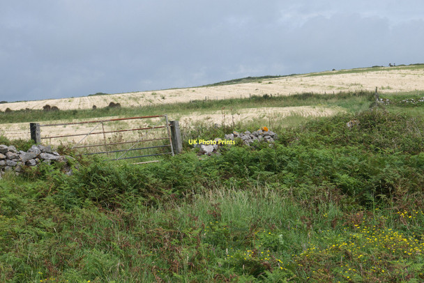 Photo 6"x4" Inland near Paviland cave Overton\/SS4685 c2011