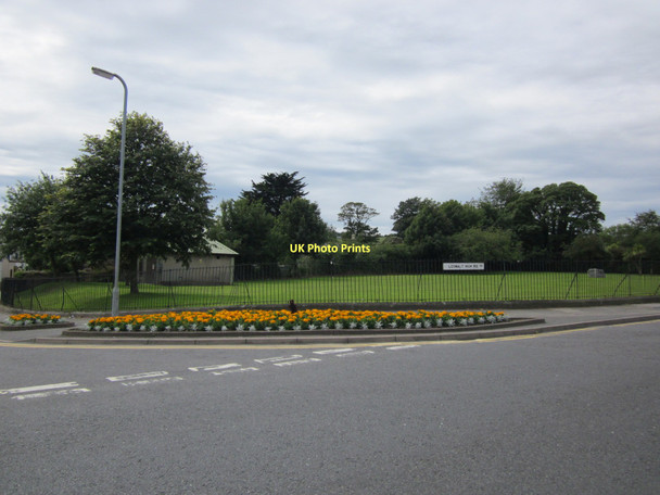 Photo 6"x4" Flower Garden Stranraer c2011