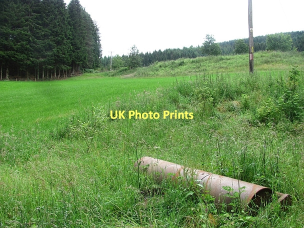 Photo 6"x4" Roller, Inchmagrannachan Inver\/NO0142 c2011