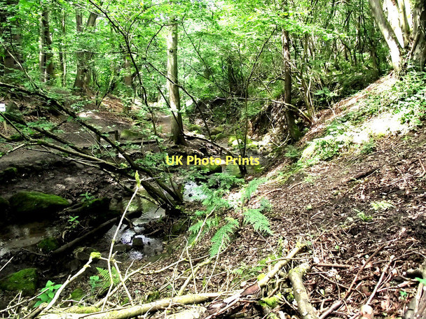 Photo 6"x4" Looking downstream Biddulph c2011