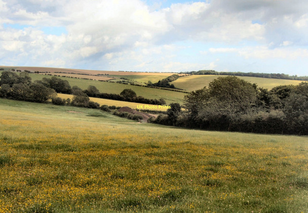 Photo 6"x4" South Downs Landscape Pyecombe c2011