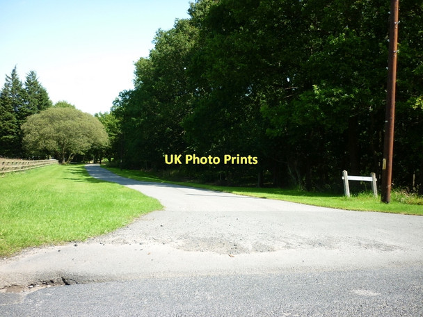 Photo 6"x4" The driveway to Badgers Holt Risplith c2011