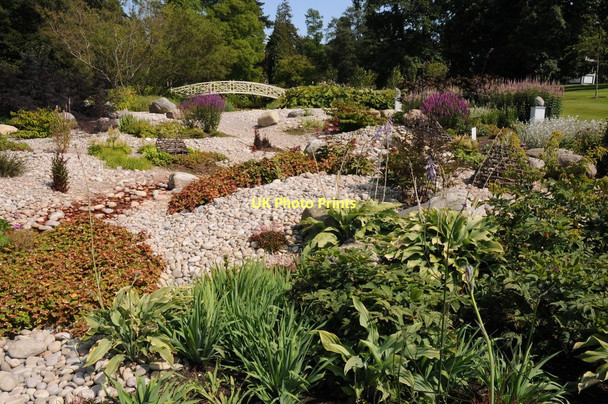 Photo 6"x4" Bog garden, Woburn Abbey Froxfield\/SP9733 c2011