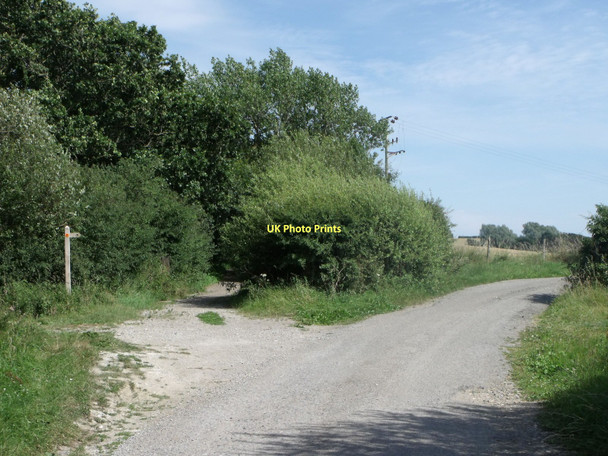 Photo 6"x4" Public Bridleway and Farm access road, The Street, Arlington Arlington\/TQ5407 c2011