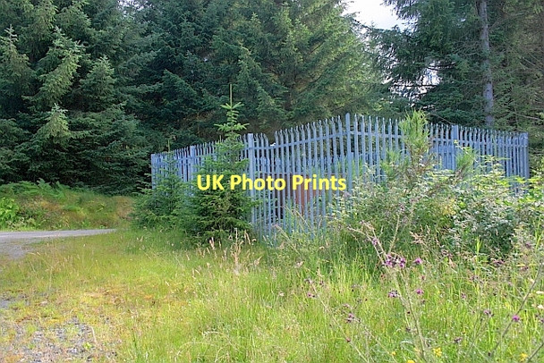 Photo 6"x4" Fence Enclosure, near Deer Craig Kirkton\/NN5100 c2011