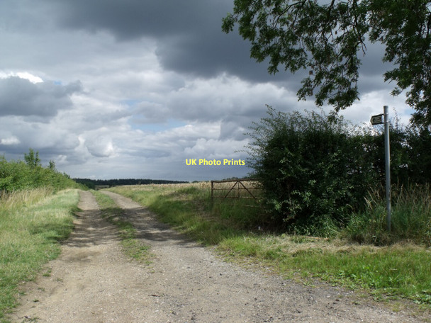 Photo 6"x4" Public Bridleway from Nocton Road Nocton c2011