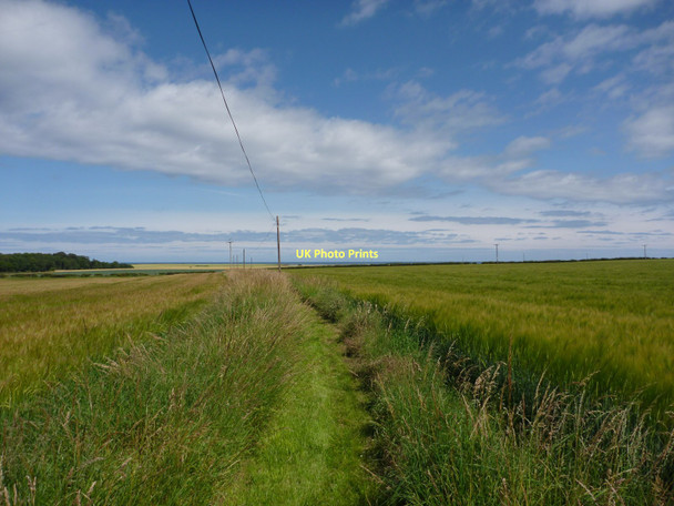 Photo 6"x4" East Lothian Landscape : A View Back Down The Gleghornie Path Blackdykes\/NT5883 c2011