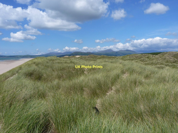 Photo 6"x4" Harlech dunes - looking north Harlech c2011