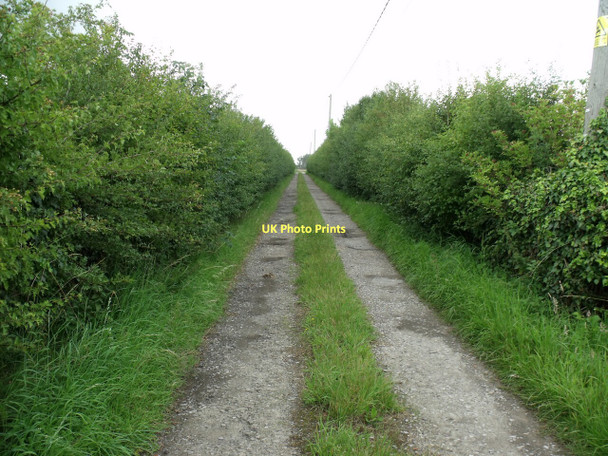Photo 6"x4" Track to Poachers Patch Dunston\/TF0662 c2011