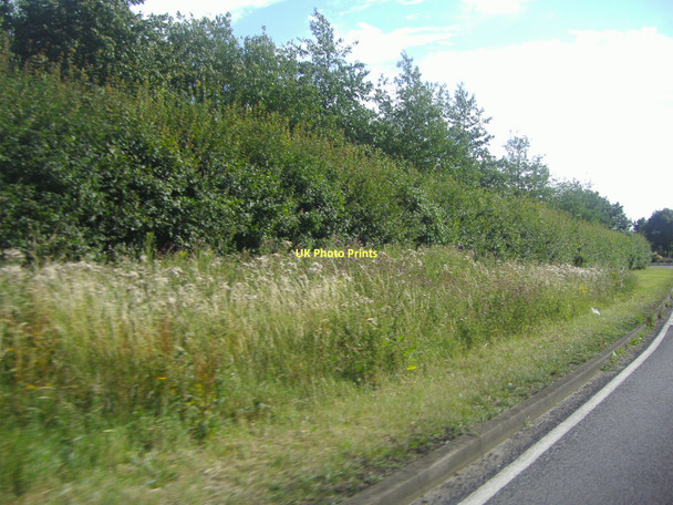 Photo 6"x4" Unusual verge, Rycote Lane North Weston\/SP6805 c2011
