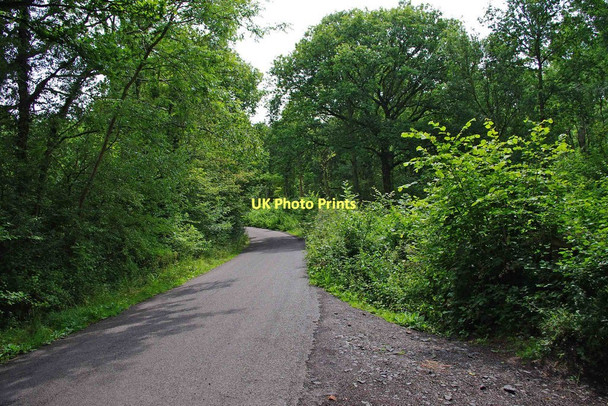 Photo 6"x4" Woodcote Green Lane, looking south Bournes Green\/SO9174 c2011