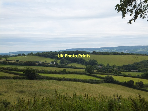 Photo 6"x4" Castle Hill from Beacon Road Bradninch\/SS9903 c2011