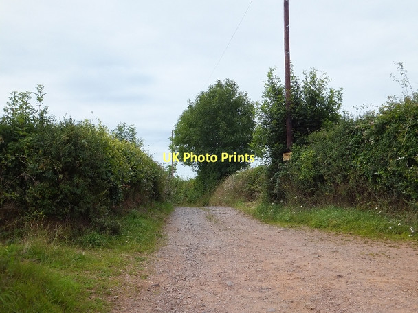Photo 6"x4" Track to Rhode Farm (on Rode Moors) Bradninch\/SS9903 c2011