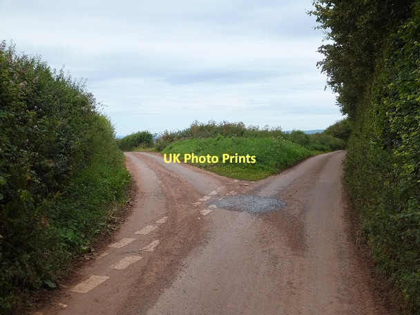 Photo 6"x4" Fork in Christcross Lane Livingshayes c2011