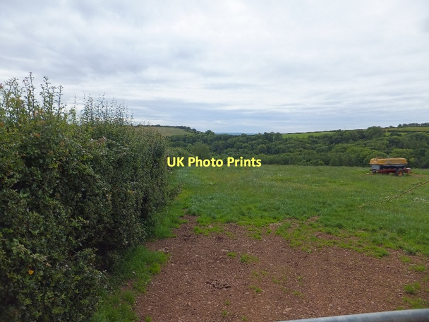 Photo 6"x4" Field and woods on Rode Moors Trinity\/SS9905 c2011