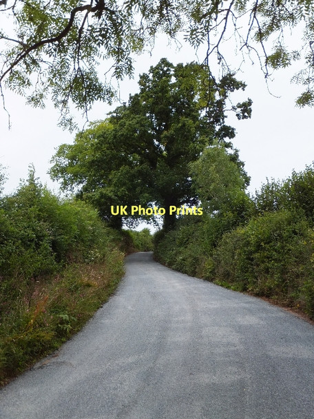 Photo 6"x4" Road climbing out of a small valley near Stokehouse Trinity\/SS9905 c2011