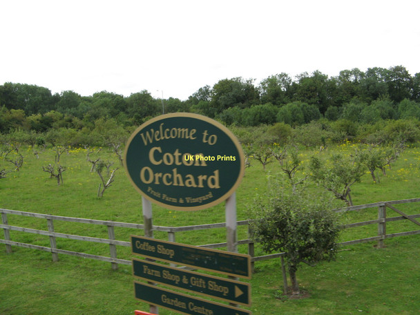 Photo 6"x4" Polhill Coton Orchard High Cross\/TL4259 c2011