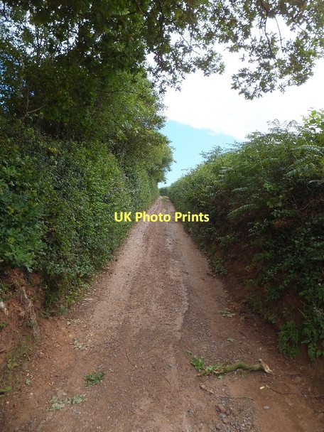 Photo 6"x4" Track to Dorweeke Cross Bickleigh\/SS9407 c2011