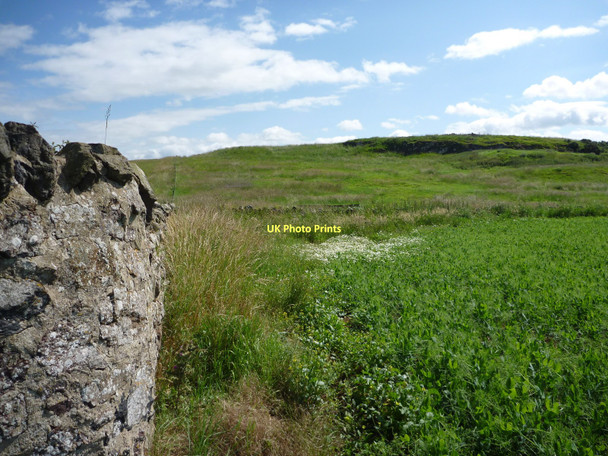 Photo 6"x4" East Lothian Landscape : The Northern Slopes of Whitekirk Hill Whitekirk c2011
